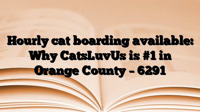 Hourly cat boarding available: Why CatsLuvUs is #1 in Orange County