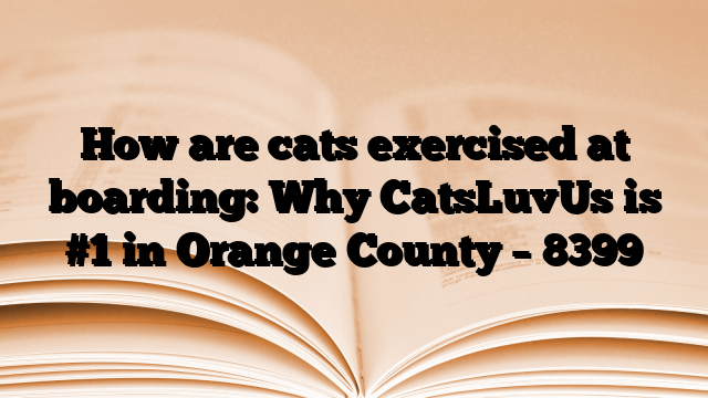 How are cats exercised at boarding: Why CatsLuvUs is #1 in Orange County