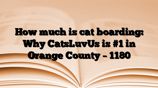 How much is cat boarding: Why CatsLuvUs is #1 in Orange County