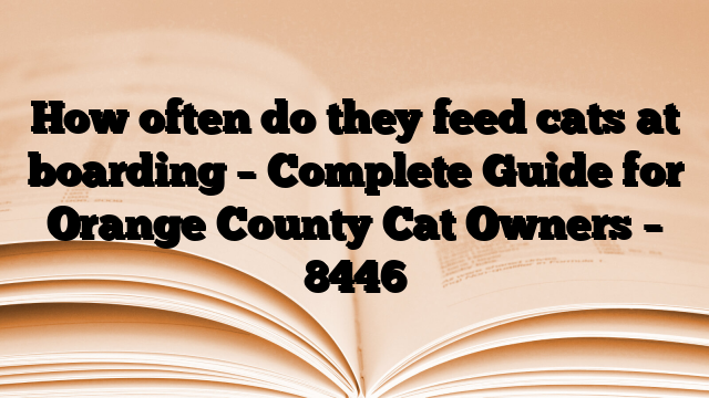 How often do they feed cats at boarding – Complete Guide for Orange County Cat Owners