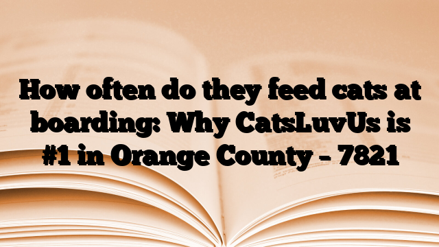 How often do they feed cats at boarding: Why CatsLuvUs is #1 in Orange County