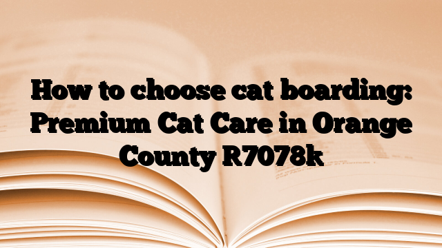 How to choose cat boarding: Premium Cat Care in Orange County
