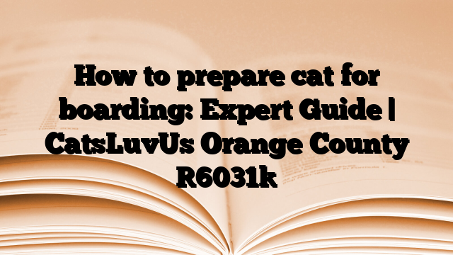 How to prepare cat for boarding: Expert Guide | CatsLuvUs Orange County