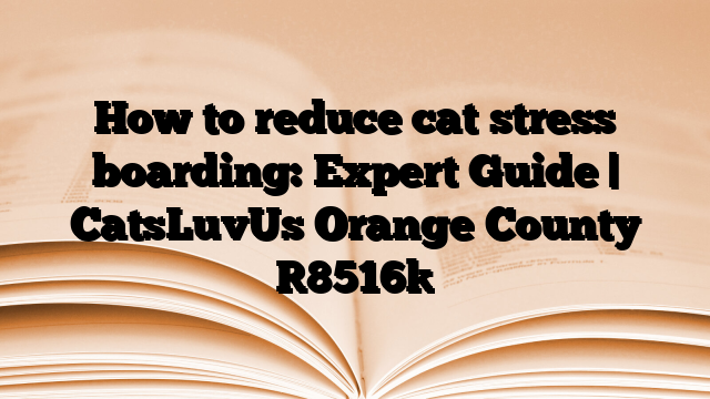 How to reduce cat stress boarding: Expert Guide | CatsLuvUs Orange County