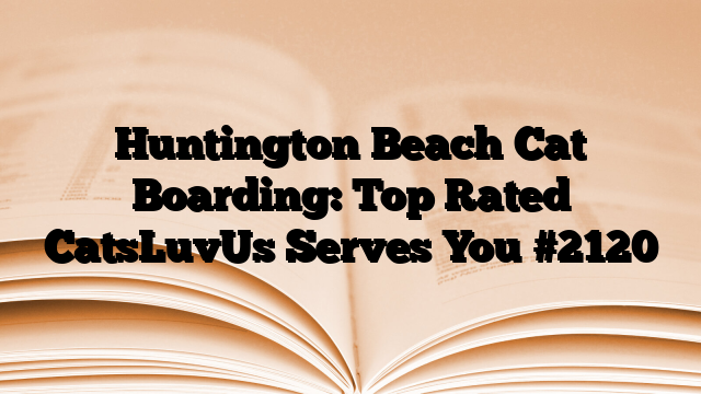Huntington Beach Cat Boarding: Top Rated CatsLuvUs Serves You