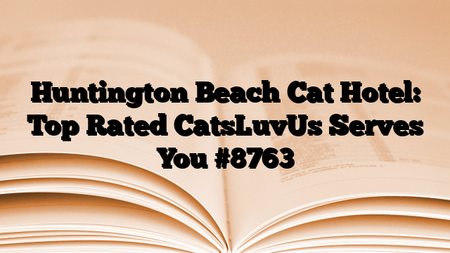 Huntington Beach Cat Hotel: Top Rated CatsLuvUs Serves You