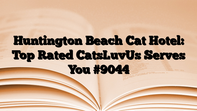 Huntington Beach Cat Hotel: Top Rated CatsLuvUs Serves You