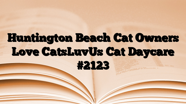 Huntington Beach Cat Owners Love CatsLuvUs Cat Daycare