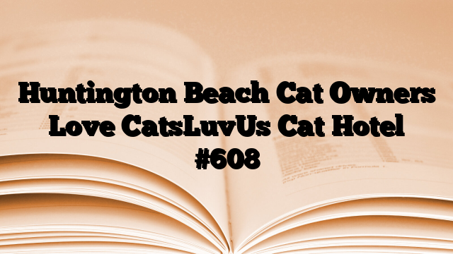 Huntington Beach Cat Owners Love CatsLuvUs Cat Hotel