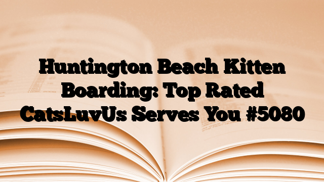 Huntington Beach Kitten Boarding: Top Rated CatsLuvUs Serves You