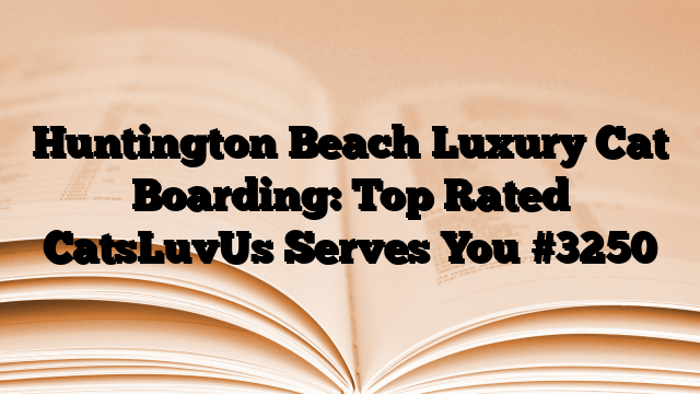 Huntington Beach Luxury Cat Boarding: Top Rated CatsLuvUs Serves You