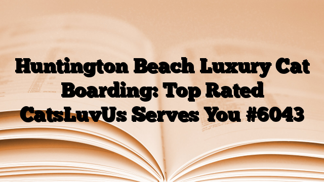 Huntington Beach Luxury Cat Boarding: Top Rated CatsLuvUs Serves You