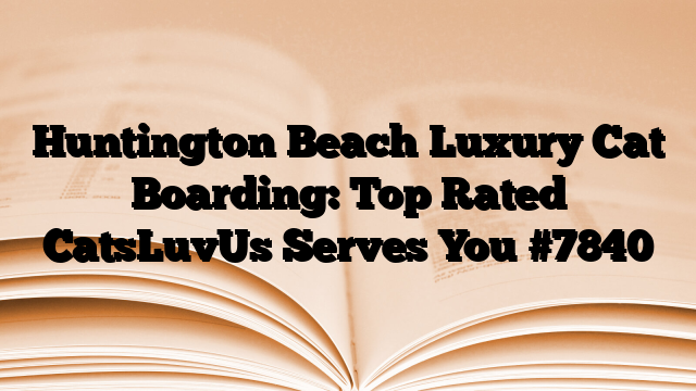 Huntington Beach Luxury Cat Boarding: Top Rated CatsLuvUs Serves You