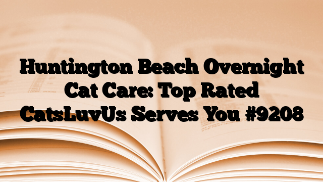 Huntington Beach Overnight Cat Care: Top Rated CatsLuvUs Serves You
