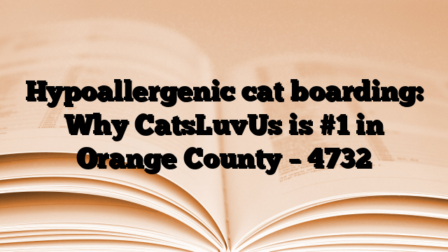 Hypoallergenic cat boarding: Why CatsLuvUs is #1 in Orange County