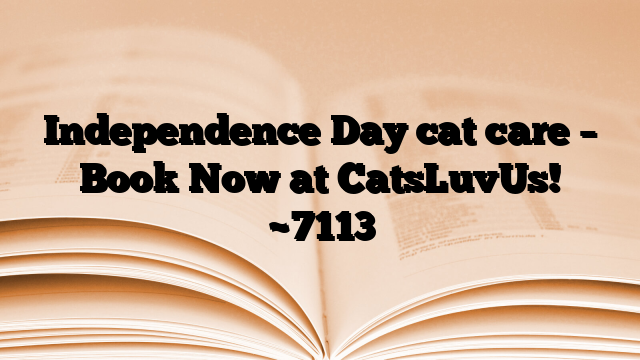 Independence Day cat care – Book Now at CatsLuvUs!