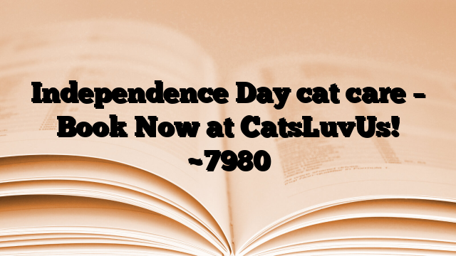 Independence Day cat care – Book Now at CatsLuvUs!