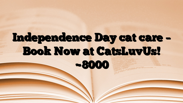Independence Day cat care – Book Now at CatsLuvUs!