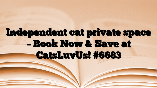 Independent cat private space – Book Now & Save at CatsLuvUs!