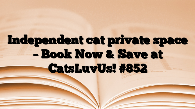 Independent cat private space – Book Now & Save at CatsLuvUs!