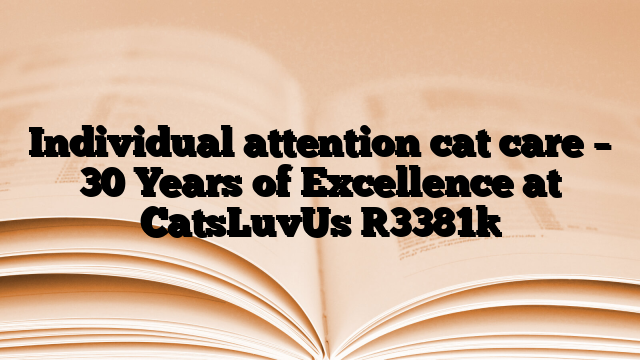 Individual attention cat care – 30 Years of Excellence at CatsLuvUs