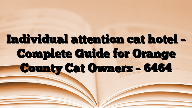 Individual attention cat hotel – Complete Guide for Orange County Cat Owners