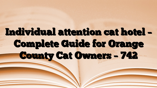 Individual attention cat hotel – Complete Guide for Orange County Cat Owners