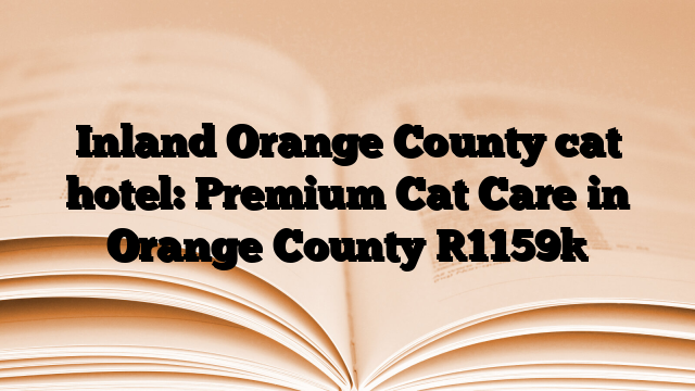 Inland Orange County cat hotel: Premium Cat Care in Orange County