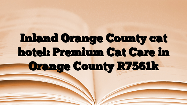 Inland Orange County cat hotel: Premium Cat Care in Orange County