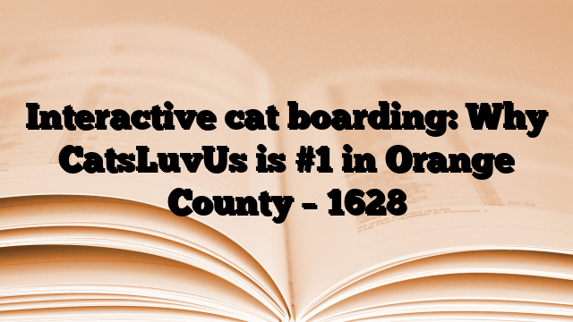 Interactive cat boarding: Why CatsLuvUs is #1 in Orange County