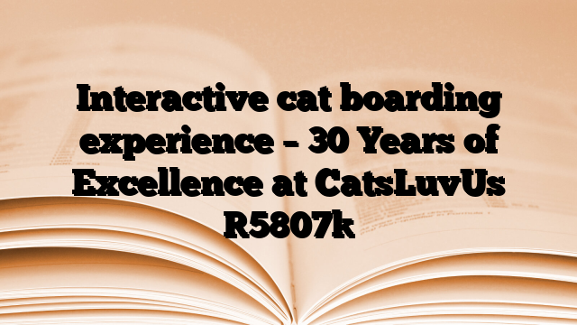 Interactive cat boarding experience – 30 Years of Excellence at CatsLuvUs