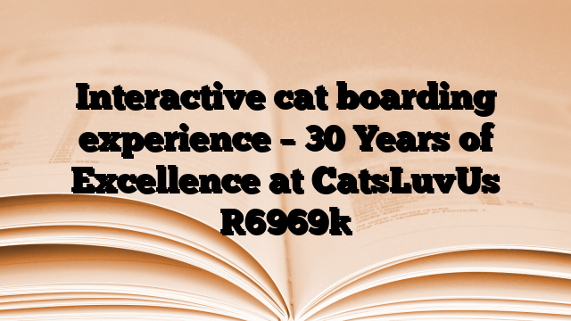 Interactive cat boarding experience – 30 Years of Excellence at CatsLuvUs