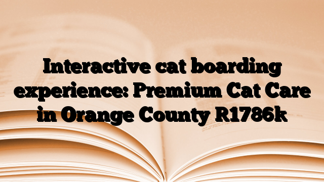 Interactive cat boarding experience: Premium Cat Care in Orange County