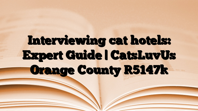 Interviewing cat hotels: Expert Guide | CatsLuvUs Orange County