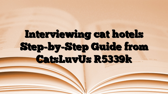Interviewing cat hotels Step-by-Step Guide from CatsLuvUs