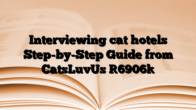 Interviewing cat hotels Step-by-Step Guide from CatsLuvUs