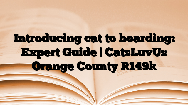 Introducing cat to boarding: Expert Guide | CatsLuvUs Orange County