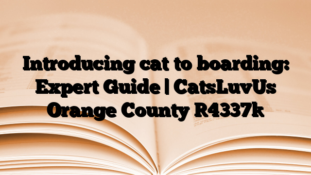 Introducing cat to boarding: Expert Guide | CatsLuvUs Orange County