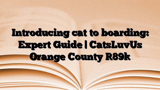 Introducing cat to boarding: Expert Guide | CatsLuvUs Orange County