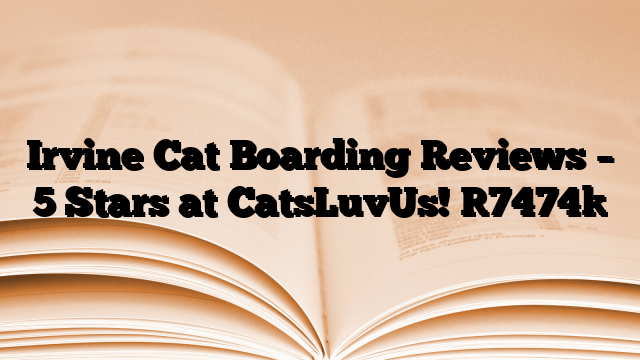 Irvine Cat Boarding Reviews – 5 Stars at CatsLuvUs!