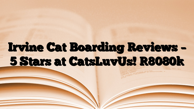 Irvine Cat Boarding Reviews – 5 Stars at CatsLuvUs!