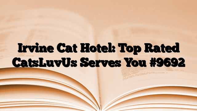 Irvine Cat Hotel: Top Rated CatsLuvUs Serves You