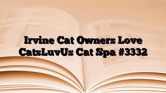 Irvine Cat Owners Love CatsLuvUs Cat Spa