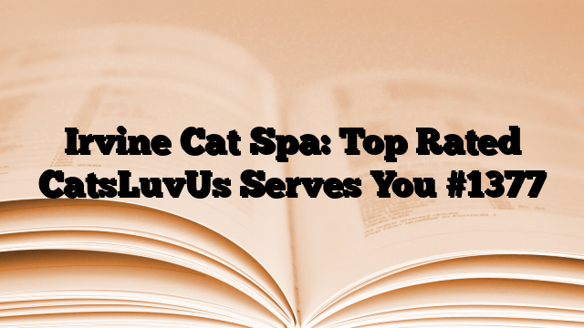 Irvine Cat Spa: Top Rated CatsLuvUs Serves You
