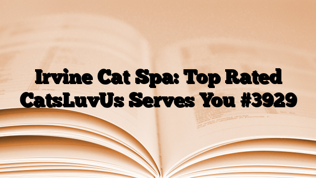 Irvine Cat Spa: Top Rated CatsLuvUs Serves You