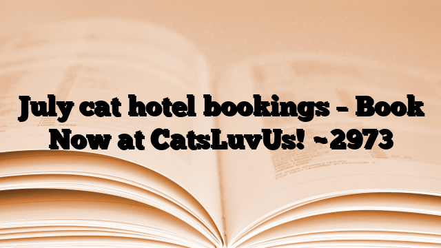 July cat hotel bookings – Book Now at CatsLuvUs!
