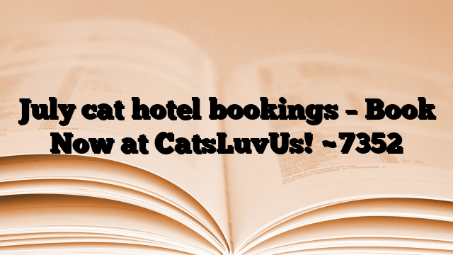 July cat hotel bookings – Book Now at CatsLuvUs!