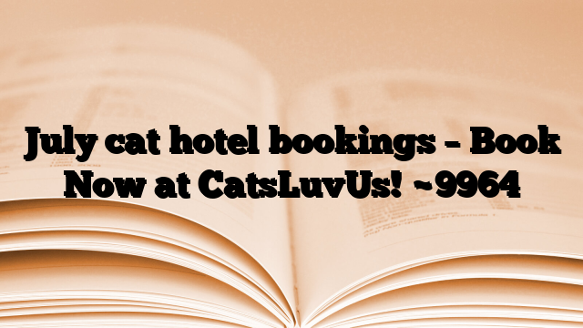 July cat hotel bookings – Book Now at CatsLuvUs!