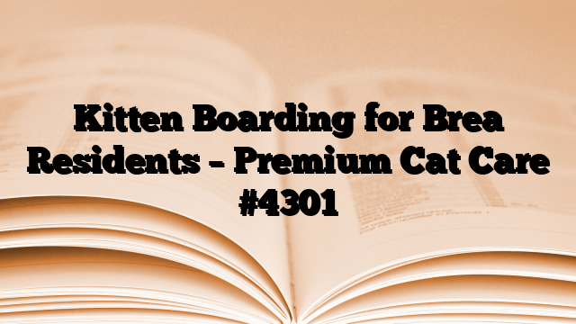 Kitten Boarding for Brea Residents – Premium Cat Care