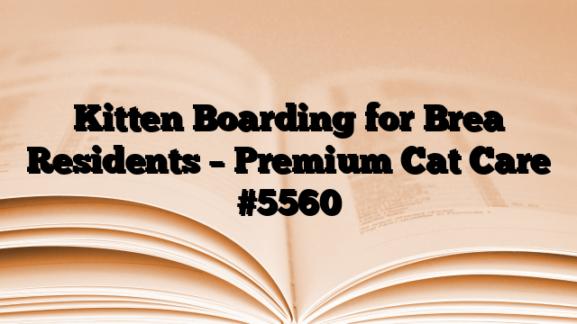 Kitten Boarding for Brea Residents – Premium Cat Care